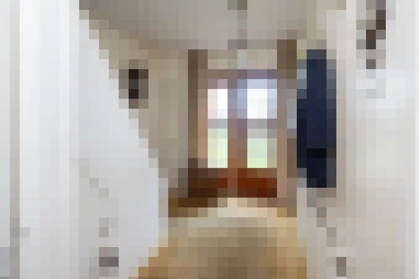 Oude Deventerstraatweg 36 Zwolle thumbnail 10