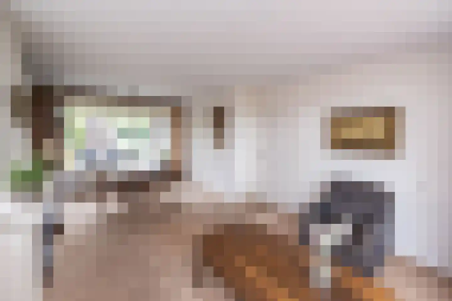 Oude Deventerstraatweg 36 Zwolle thumbnail 11