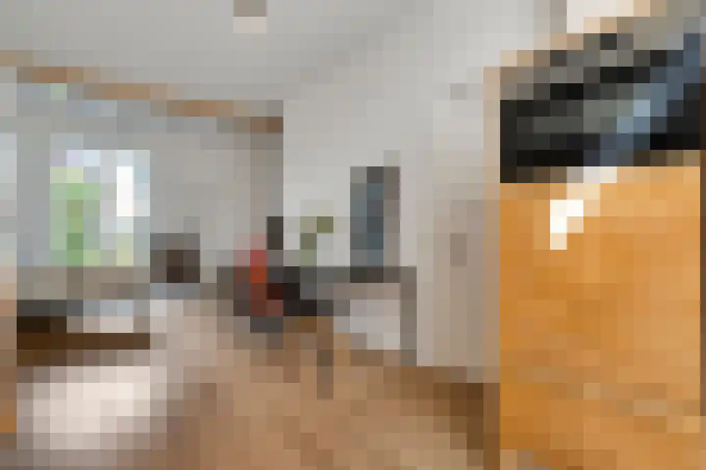 Oude Deventerstraatweg 62 Zwolle thumbnail 10