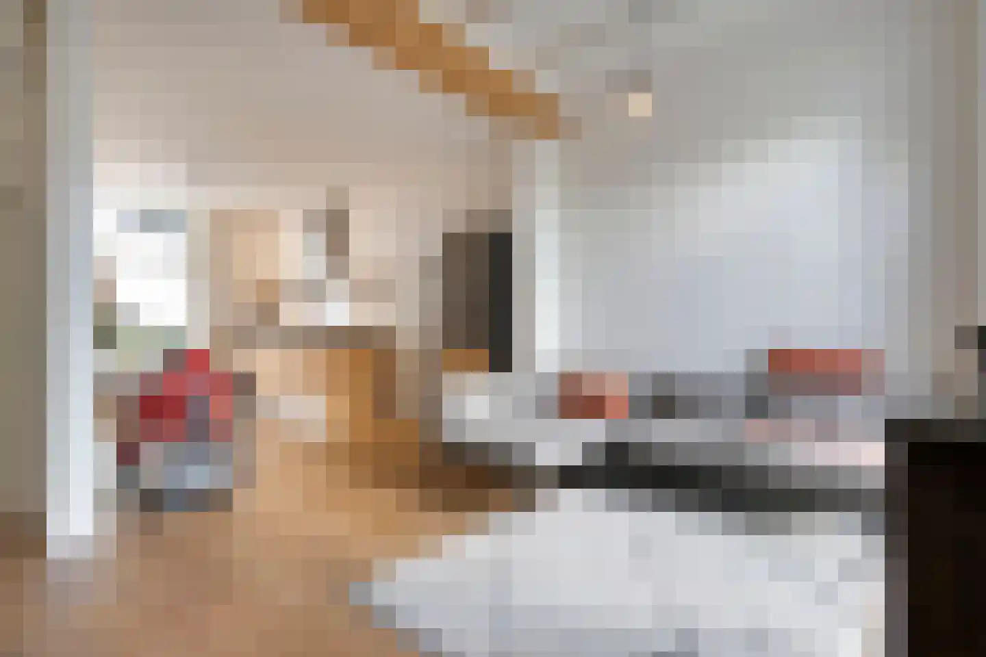 Oude Deventerstraatweg 62 Zwolle thumbnail 13