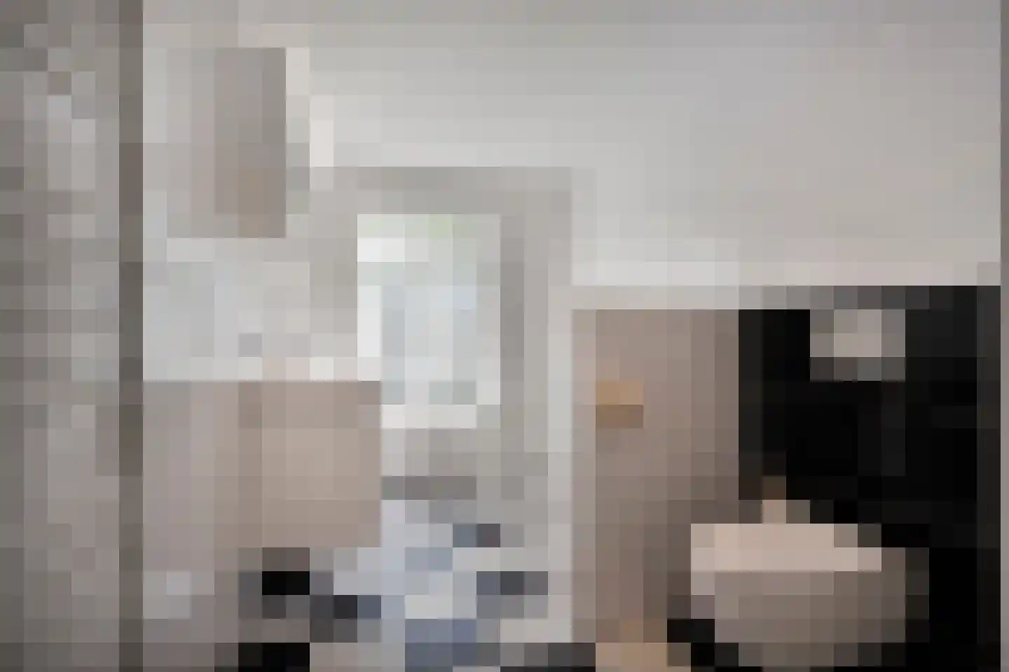 Oude Deventerstraatweg 62 Zwolle thumbnail 20
