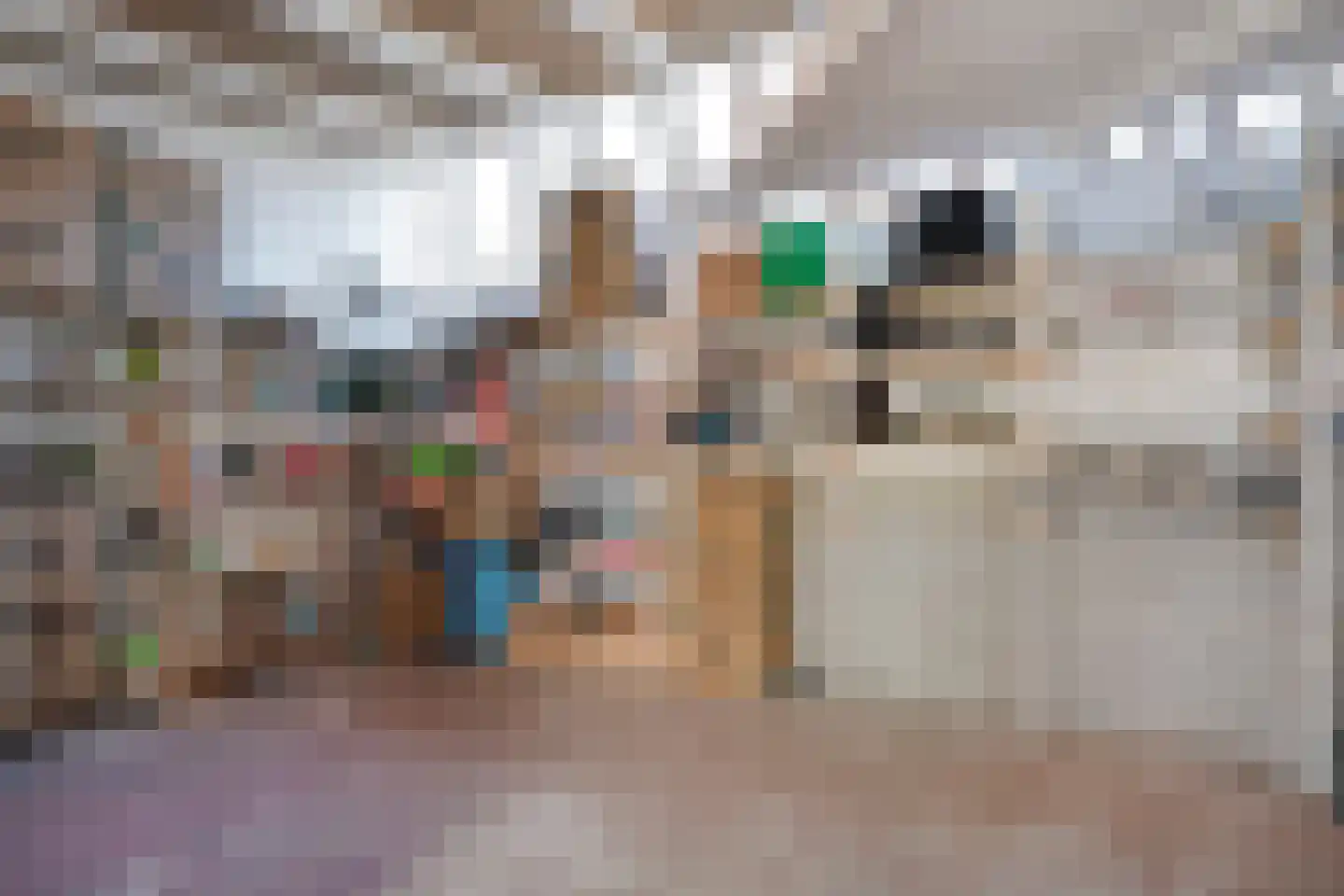 Oude Deventerstraatweg 62 Zwolle thumbnail 36