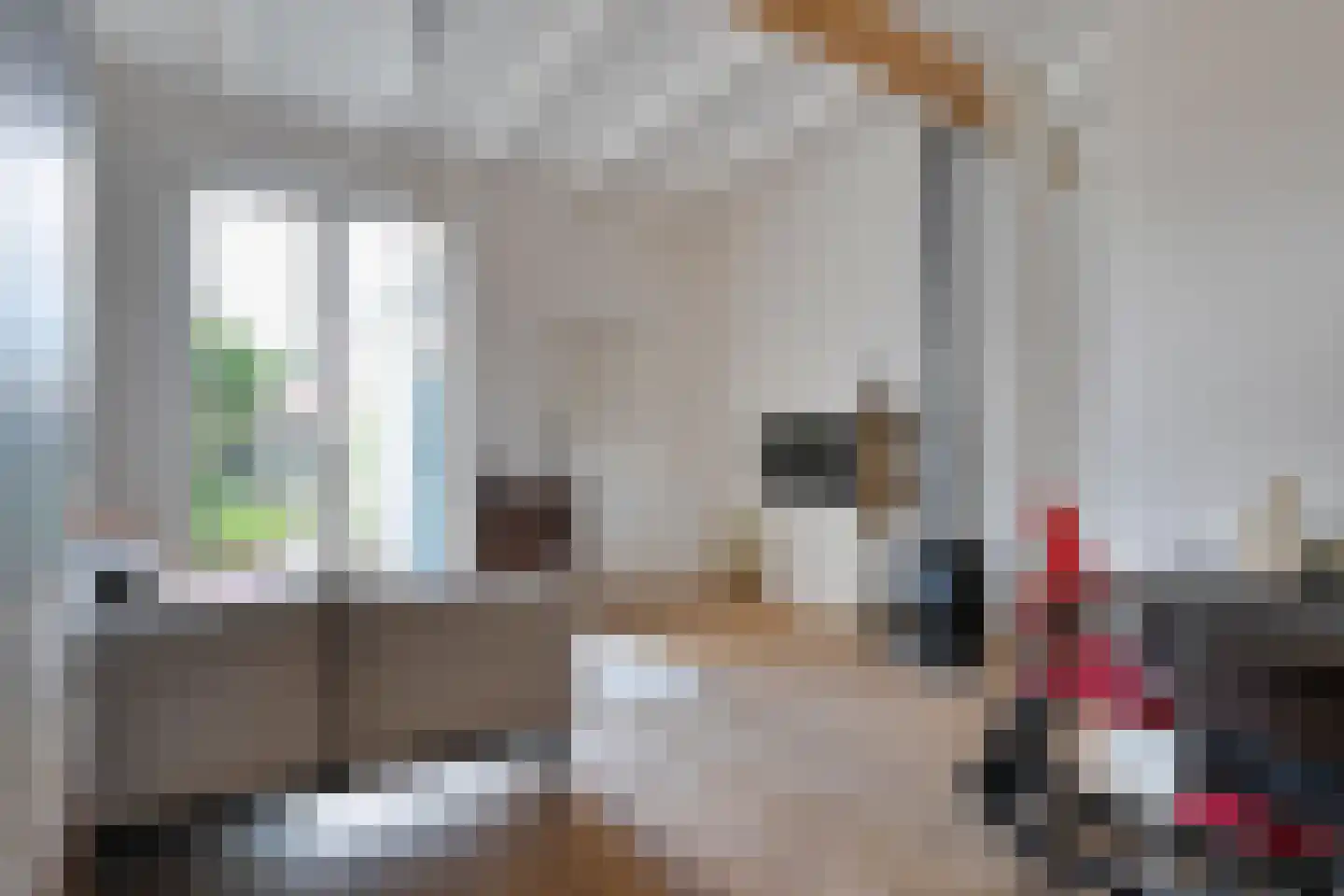 Oude Deventerstraatweg 62 Zwolle thumbnail 4