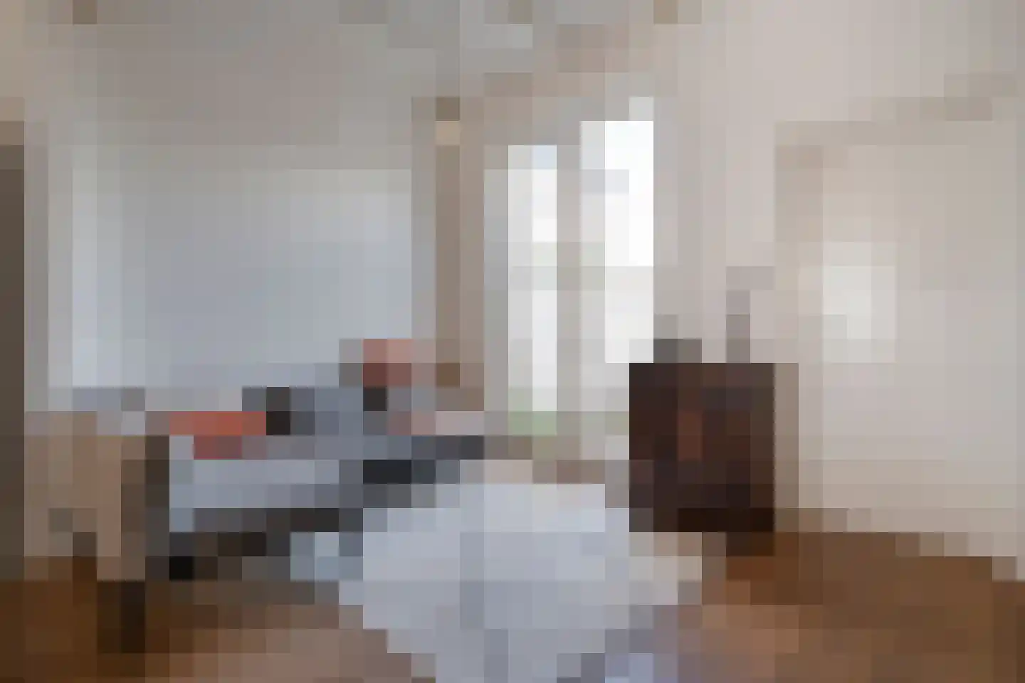 Oude Deventerstraatweg 62 Zwolle thumbnail 5