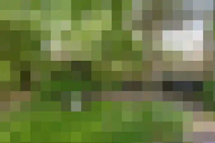 Oude Deventerstraatweg 8 Zwolle thumbnail 11