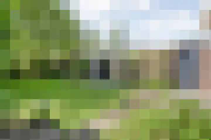 Oude Deventerstraatweg 8 Zwolle thumbnail 12