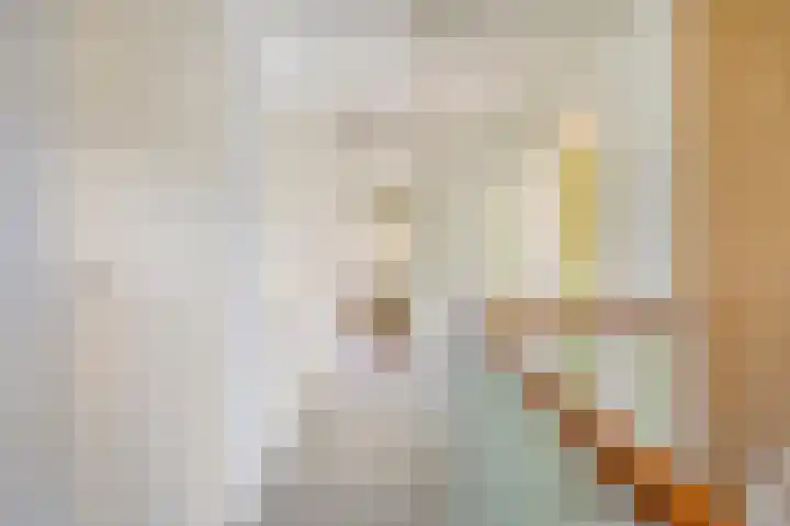 Oude Deventerstraatweg 8 Zwolle thumbnail 33