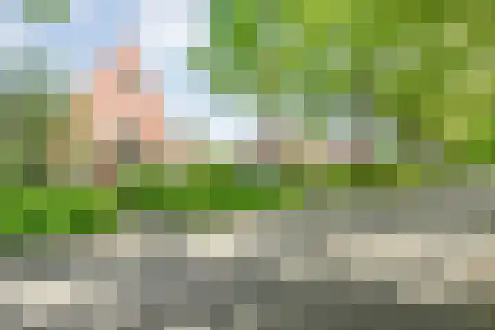 Oude Deventerstraatweg 8 Zwolle thumbnail 37