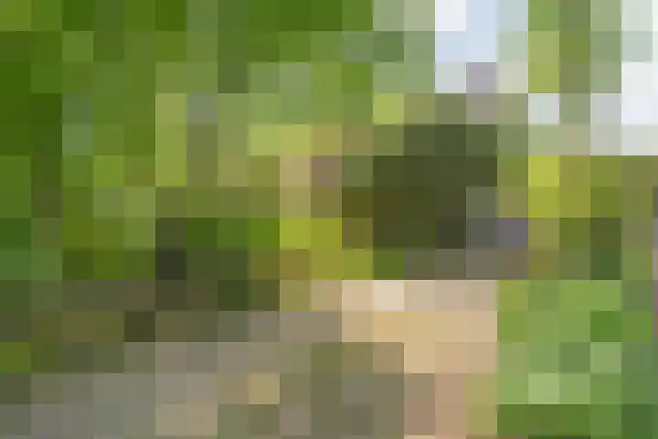 Oude Deventerstraatweg 8 Zwolle thumbnail 4