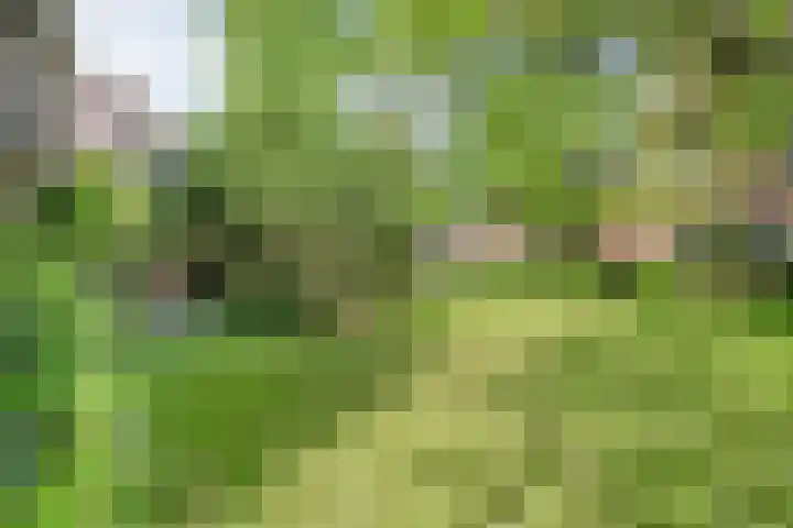 Oude Deventerstraatweg 8 Zwolle thumbnail 5