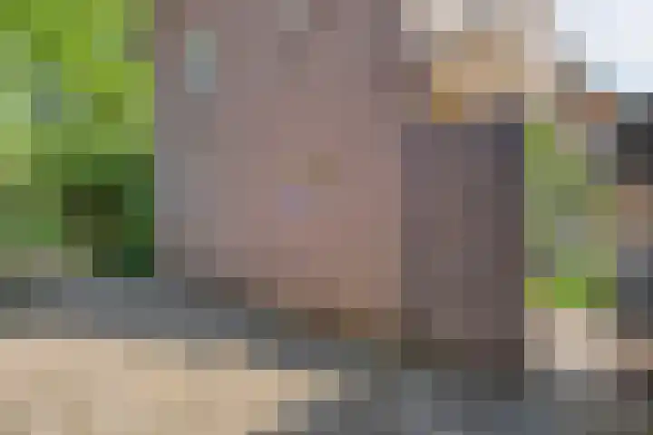 Oude Deventerstraatweg 8 Zwolle thumbnail 6