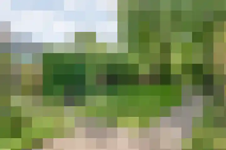 Oude Deventerstraatweg 8 Zwolle thumbnail 7
