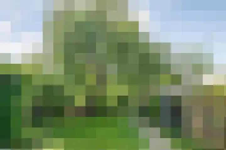 Oude Deventerstraatweg 8 Zwolle thumbnail 8