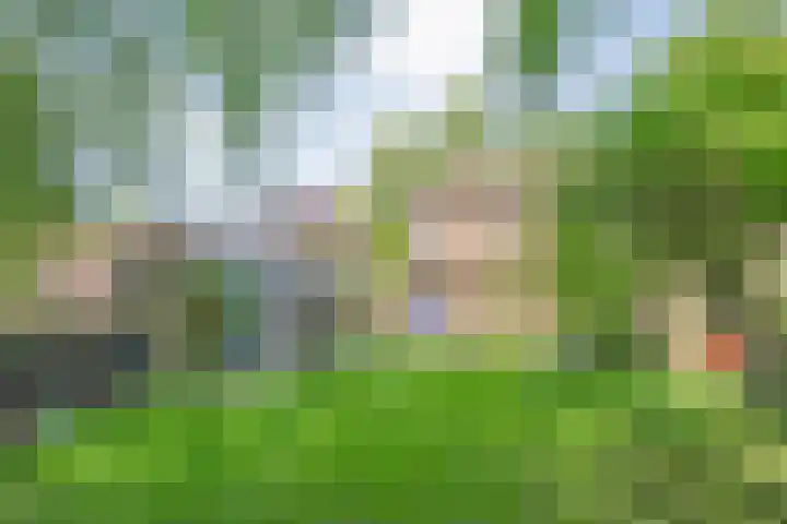 Oude Deventerstraatweg 8 Zwolle thumbnail 9