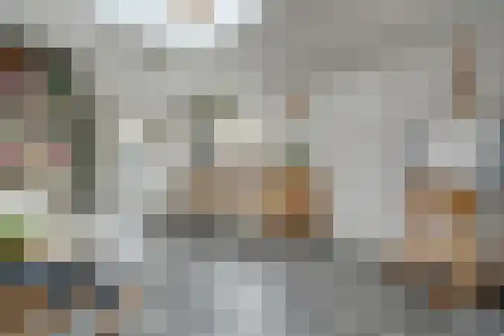 Oude Deventerstraatweg 91 Zwolle thumbnail 16