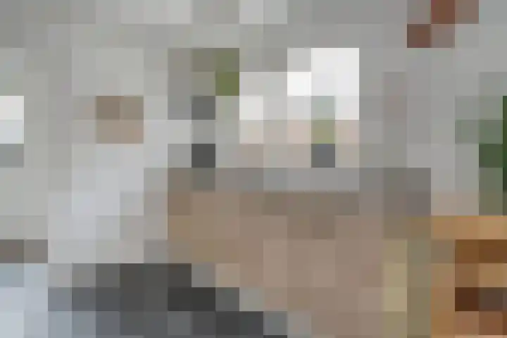 Oude Deventerstraatweg 91 Zwolle thumbnail 17