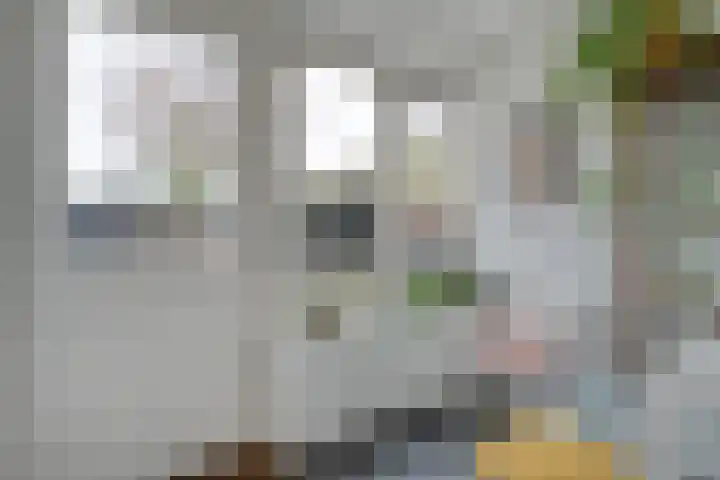 Oude Deventerstraatweg 91 Zwolle thumbnail 19