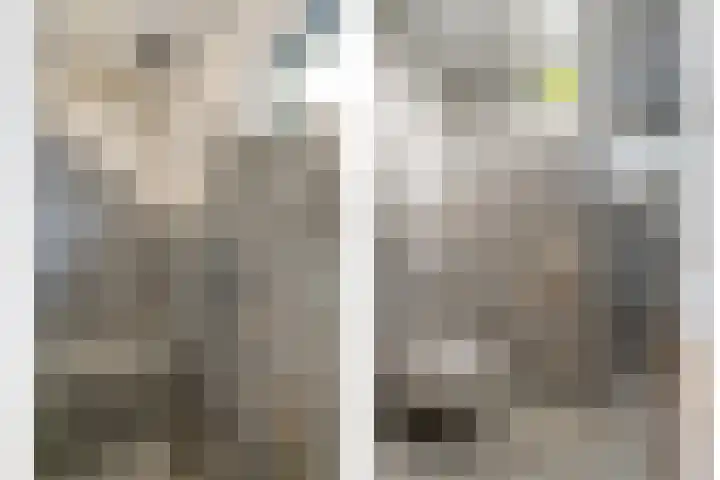 Oude Deventerstraatweg 91 Zwolle thumbnail 30