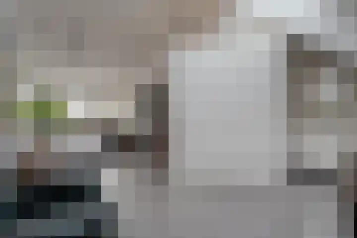 Oude Deventerstraatweg 91 Zwolle thumbnail 35