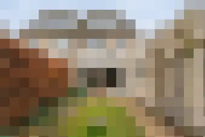 Oude Deventerstraatweg 91 Zwolle thumbnail 37