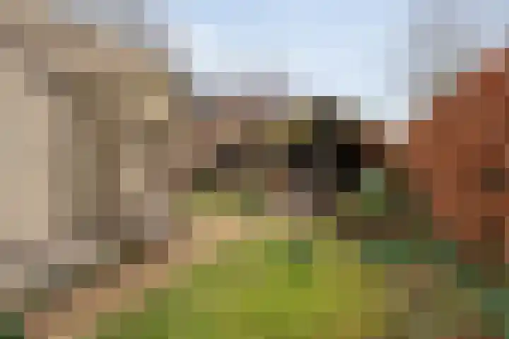 Oude Deventerstraatweg 91 Zwolle thumbnail 38