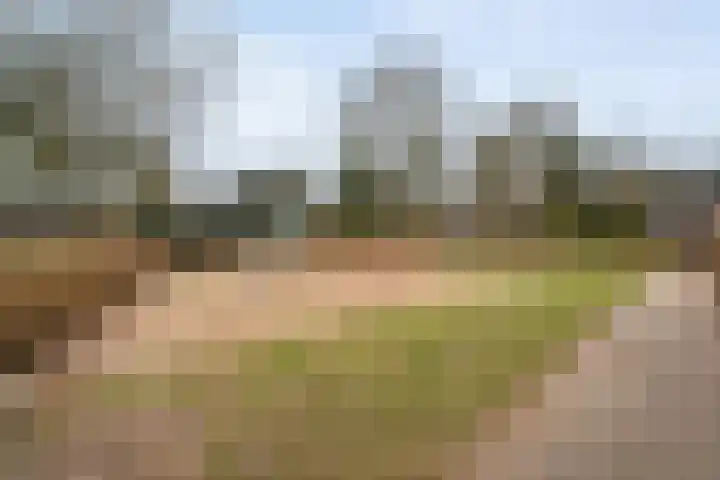 Oude Deventerstraatweg 91 Zwolle thumbnail 45