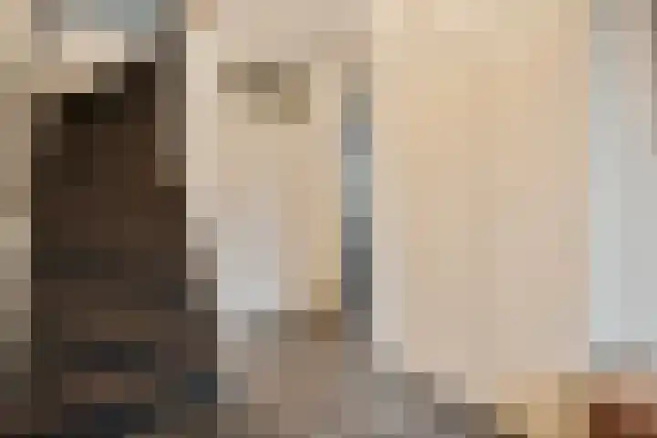 Oude Deventerstraatweg 91 Zwolle thumbnail 5