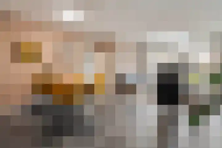 Oude Deventerstraatweg 91 Zwolle thumbnail 6
