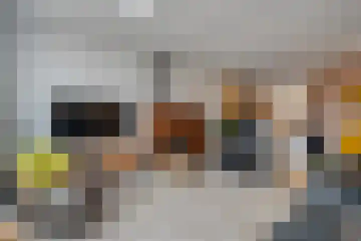 Oude Deventerstraatweg 91 Zwolle thumbnail 9
