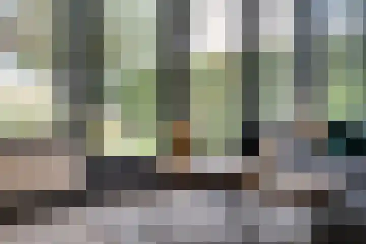 Oude Deventerstraatweg 93 Zwolle thumbnail 17