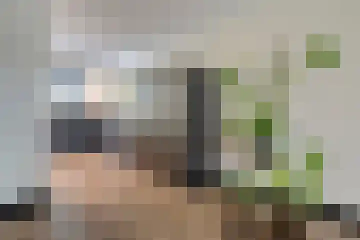 Oude Deventerstraatweg 93 Zwolle thumbnail 18