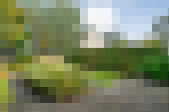 Oude Deventerstraatweg 93 Zwolle thumbnail 42