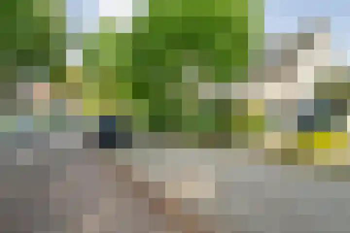 Oude Deventerstraatweg 93 Zwolle thumbnail 7