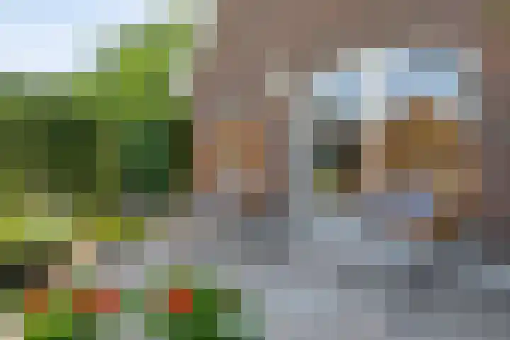 Oude Deventerweg 10 b Haarle thumbnail 11