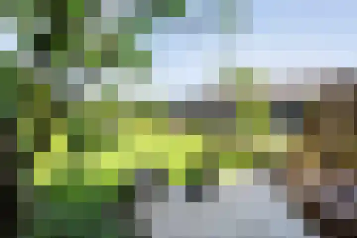 Oude Deventerweg 10 b Haarle thumbnail 12