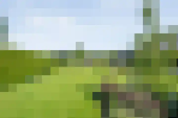 Oude Deventerweg 10 b Haarle thumbnail 13