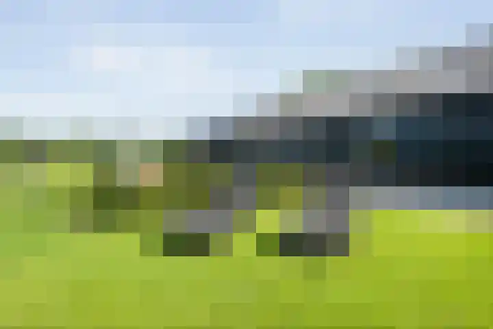 Oude Deventerweg 10 b Haarle thumbnail 15