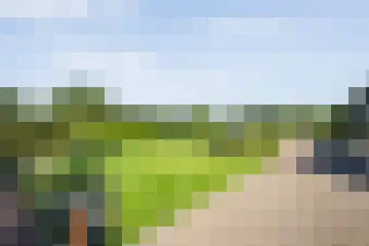 Oude Deventerweg 10 b Haarle thumbnail 16