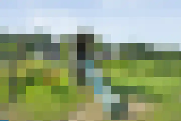 Oude Deventerweg 10 b Haarle thumbnail 18