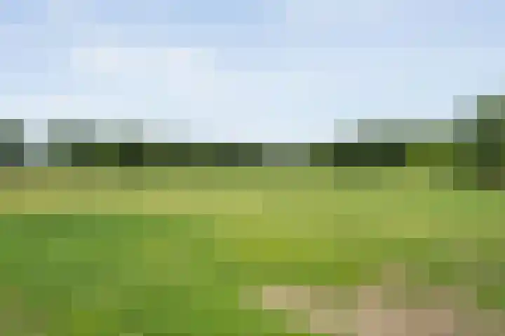 Oude Deventerweg 10 b Haarle thumbnail 19