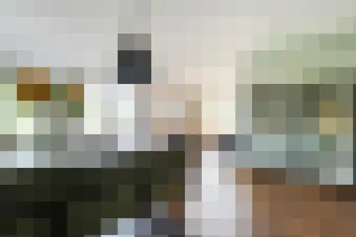 Oude Deventerweg 10 b Haarle thumbnail 23