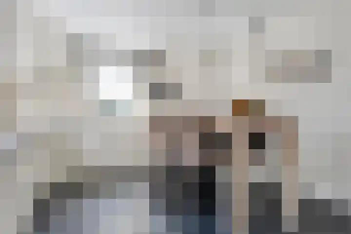 Oude Deventerweg 10 b Haarle thumbnail 30