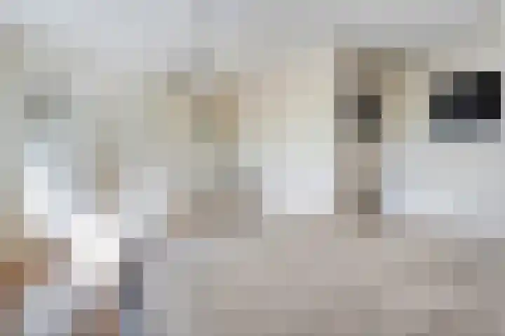 Oude Deventerweg 10 b Haarle thumbnail 39