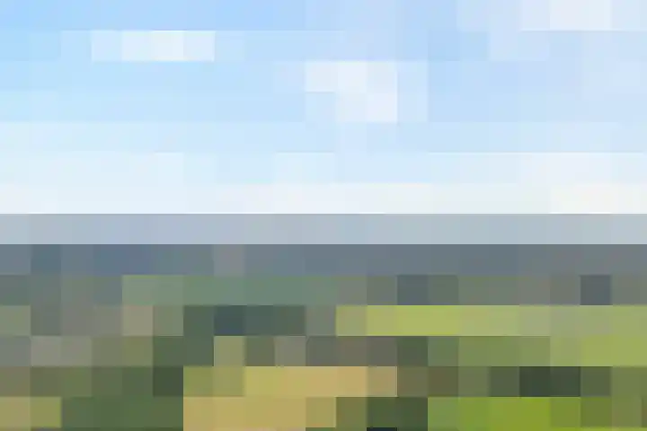 Oude Deventerweg 10 b Haarle thumbnail 4