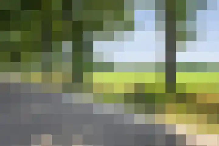 Oude Deventerweg 10 b Haarle thumbnail 51