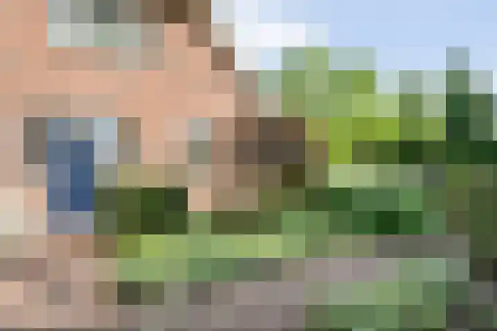 Oude Deventerweg 10 b Haarle thumbnail 6