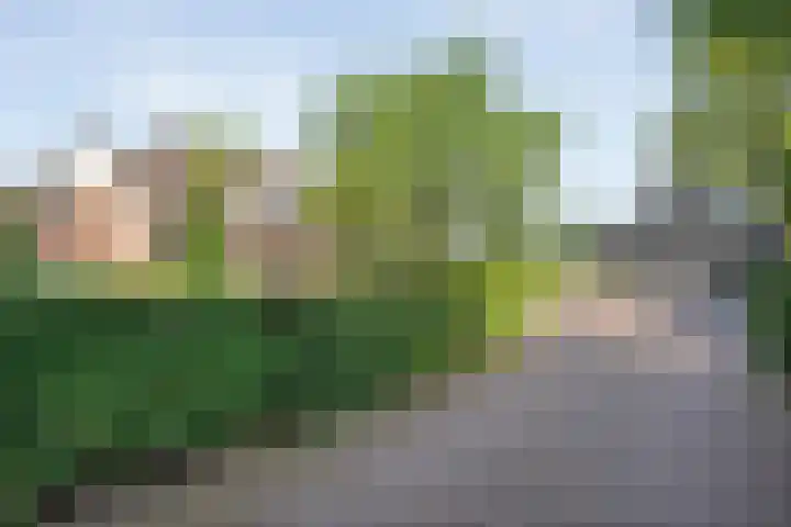 Oude Deventerweg 10 b Haarle thumbnail 7