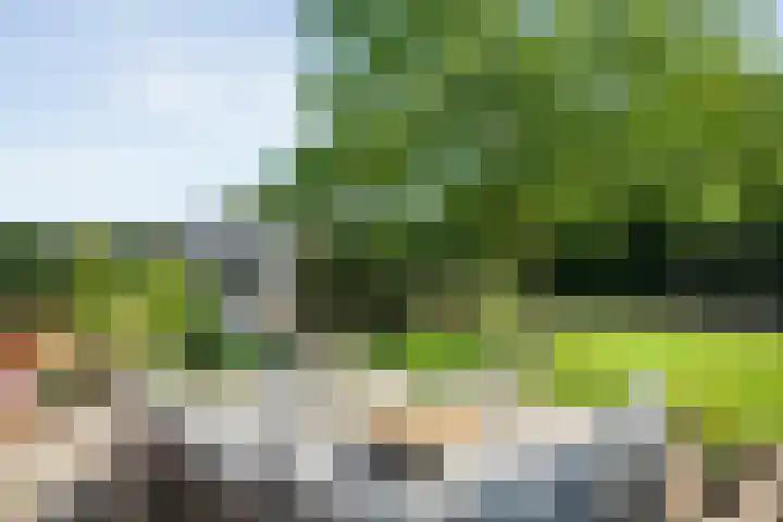Oude Deventerweg 10 b Haarle thumbnail 9