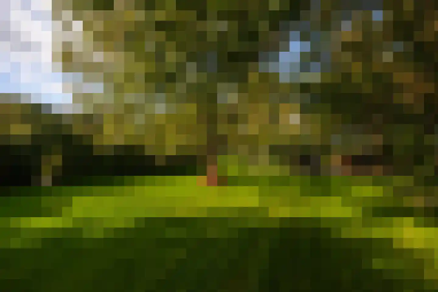 Oude Deventerweg 2 Laren thumbnail 102