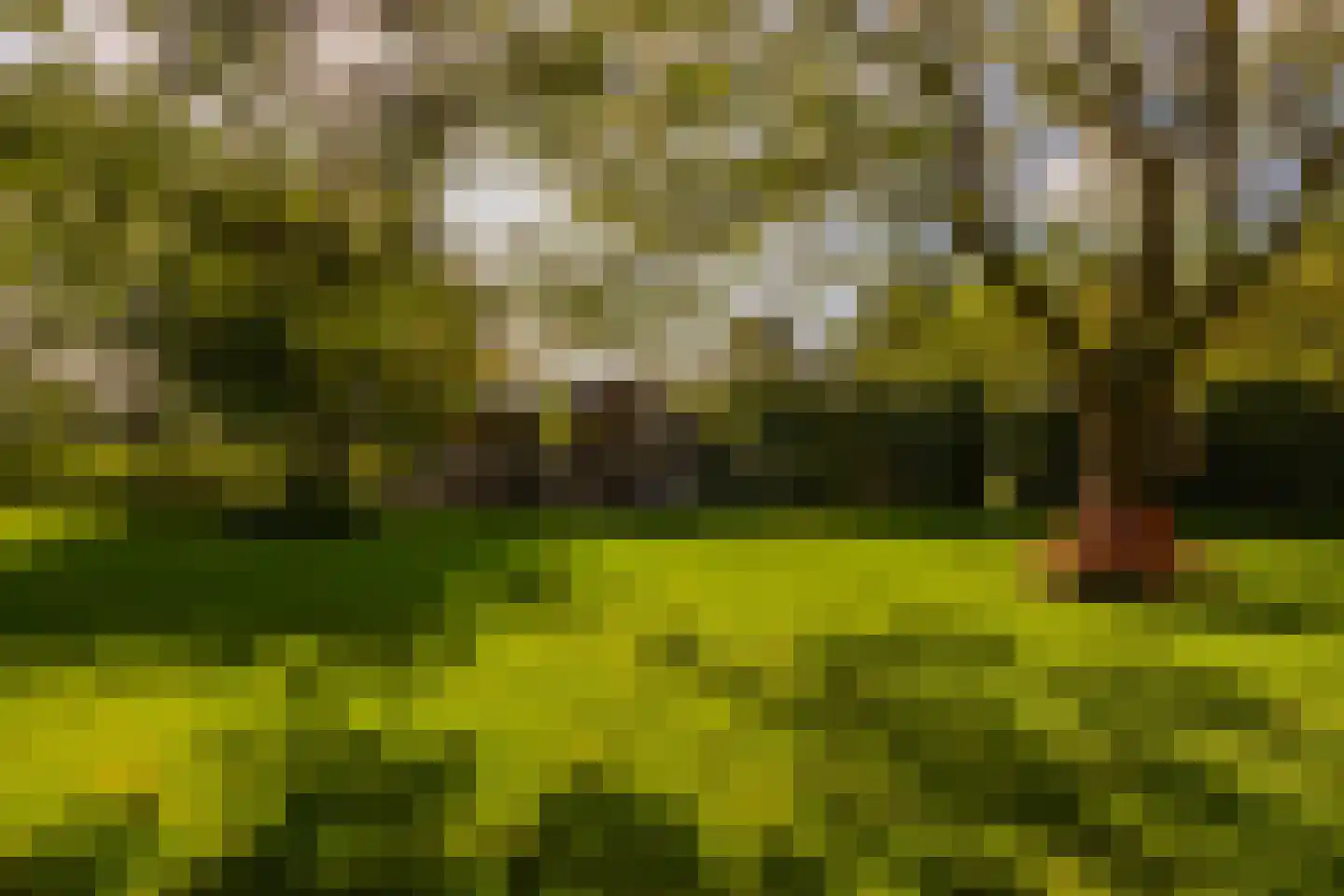 Oude Deventerweg 2 Laren thumbnail 103